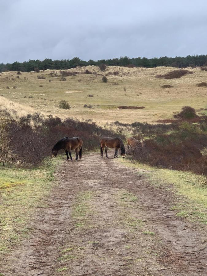 Huize Louwra Villa Egmond-Binnen Eksteriør billede