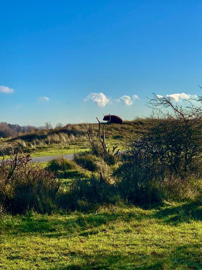 Huize Louwra Villa Egmond-Binnen Eksteriør billede