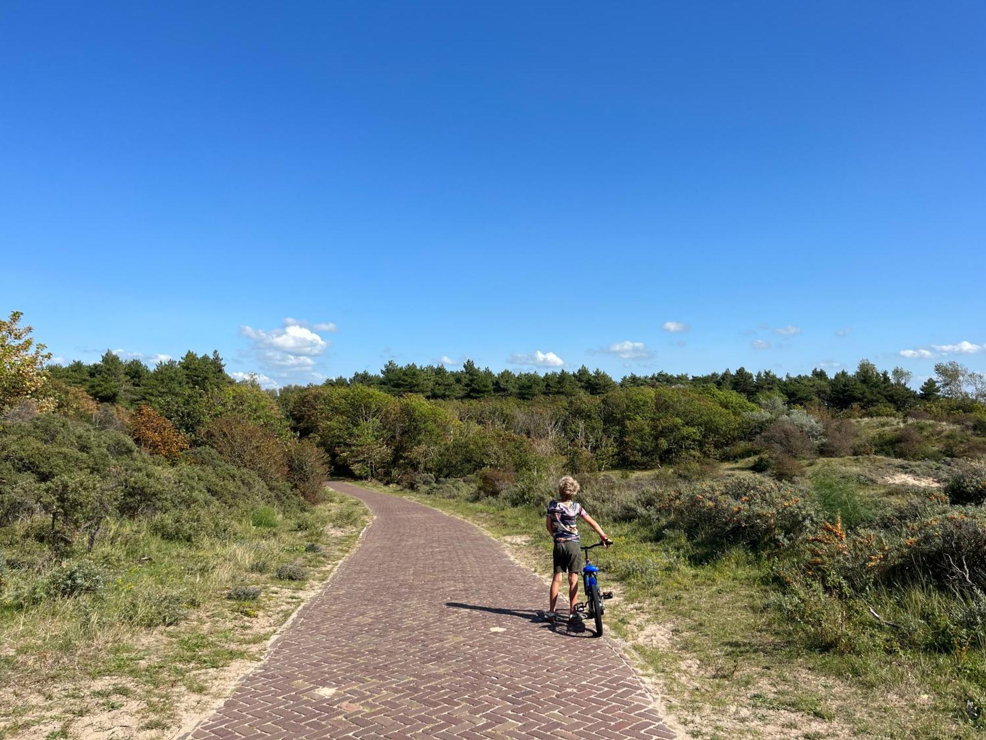 Huize Louwra Villa Egmond-Binnen Eksteriør billede