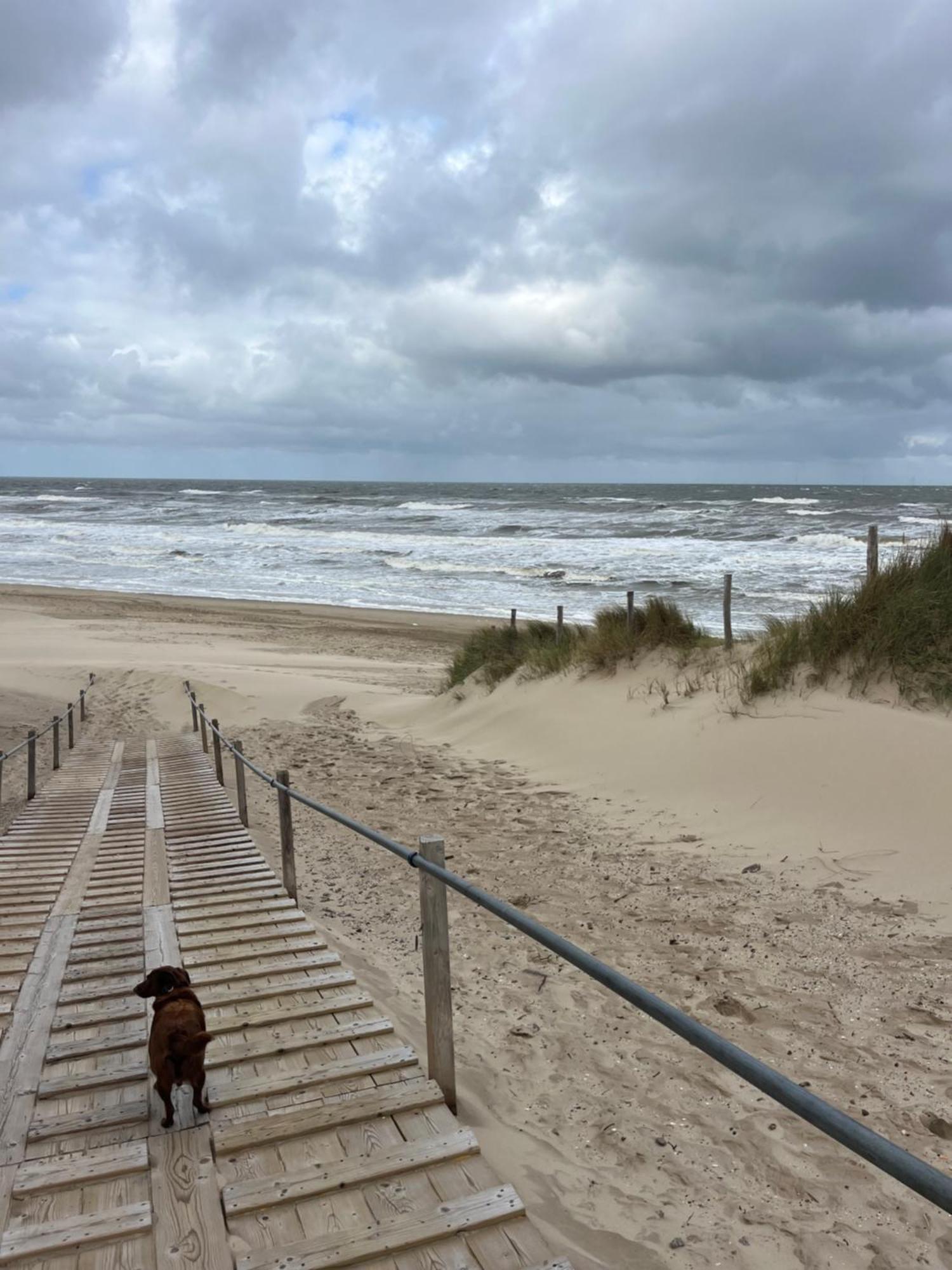 Huize Louwra Villa Egmond-Binnen Eksteriør billede